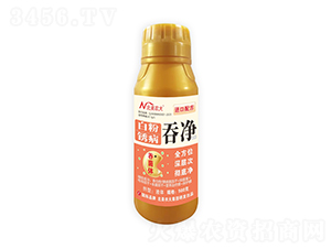 �׷��P���̃�-�����r(n��ng)��