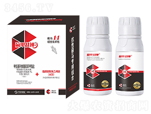 �E�R�M�ϼ��g��-�E�ב�(zh��n)��-Ȥ�r�r�I(y��)