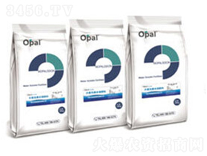 OPAL���a(ch��n)ˮ�ܷ���-�W�㘷