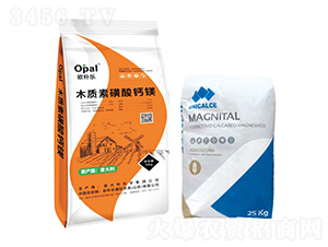 ľ�|(zh��)�ػ����}�V-�W�㘷(l��)