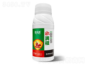 ���M֦-�|����(y��u)-��(qi��ng)��Ƽ�