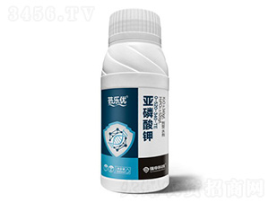 �|��(l��)��(y��u)���������-��(qi��ng)��Ƽ�