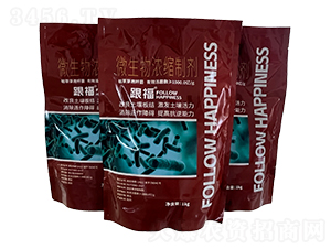 ΢�����s�Ƅ�-����-�̩