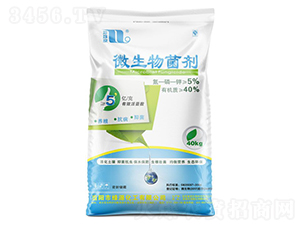 40kg΢�������-����Ȫ-�A���������F