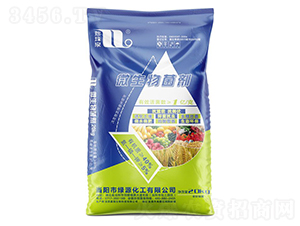 1�|���΢�������-����Ȫ-�A���������F