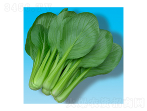 С�ɲ˷N��-����202-�A孷N�I(y��)