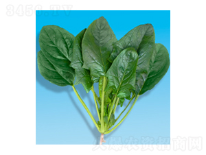 ���˷N��-孲�207-�A孷N�I(y��)