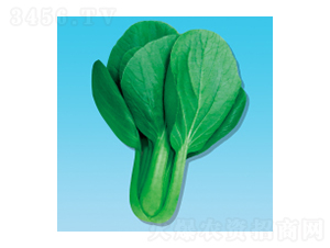 �๣�˷N��-���398-�A孷N�I(y��)