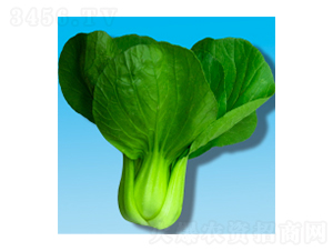 �๣�˷N��-���399-�A孷N�I(y��)