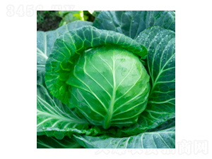 ���{(l��n)�N��-學�312-�A孷N�I(y��)