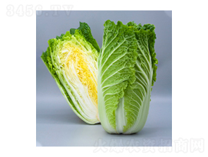 ��ײ˷N��-����-�A孷N�I(y��)