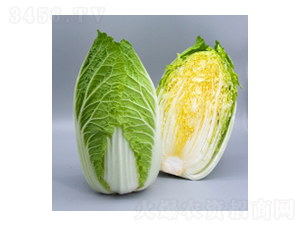 ��ײ˷N��-��ײ�15̖-�A孷N�I(y��)