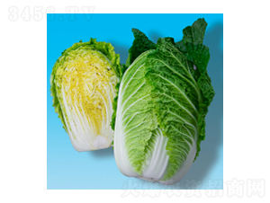 ��ײ˷N��-��S321-�A孷N�I(y��)