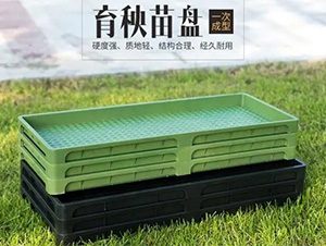 �������P-�x�h�Ƽ�