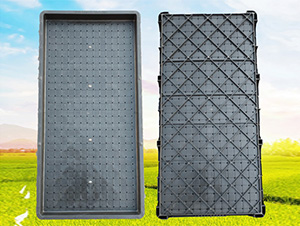 9���պ�����P-ʢ�S�r(n��ng)�C