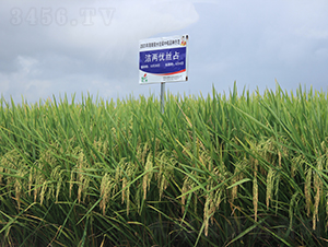 ���Ƀ�(y��u)�zռ-ˮ���N��-�𽡷N�I(y��)