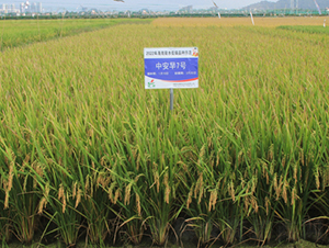 �а�7̖(h��o)-ˮ���N��-�𽡷N�I(y��)