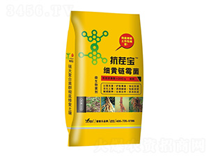 ���S�ù��-���猚-�ڼژ�