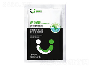 �漚��������΢�������-�x����-�ڼژ�