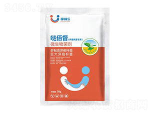 ������������΢�������-�}�۶�-�ڼژ�