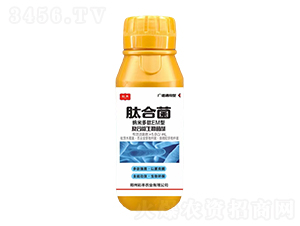 �ͺ�΢�������-�ĺϾ�-���S�r(n��ng)�I(y��)