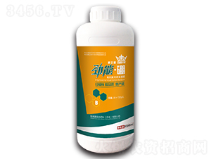 ���ܡ���-���m��