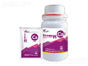 �������Ǵ��}-�ڼژ�(l��)