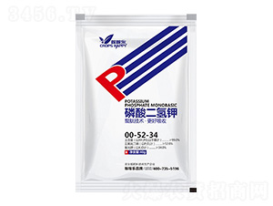 ��������00-52-34-�ڼژ�