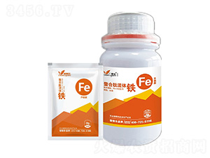 ���������w�F-�ڼژ�(l��)