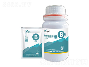 ���������w��-�ڼژ�