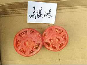 �߿�����10̖-���ѷN��-���S�N�I(y��)