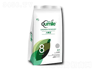 ������-�W�ט�-�̶�����