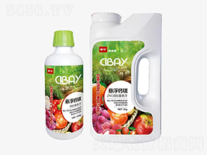 ZNC΢�z�ґҸ��}�V-������-�̶�����