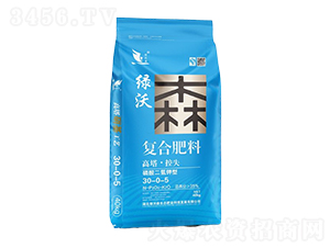 ���������͏�(f��)�Ϸ���30-0-5-�G��ɭ