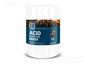 ��Y-�۹Ȱ���-�Pِ�Z