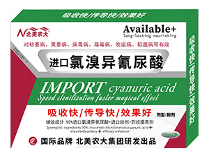 �M�����宐������-�����r(n��ng)��