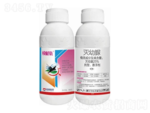 25%������Ҹ���-�옌��-�����