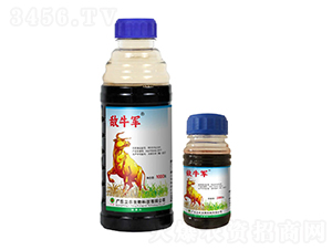 20%���ݿ�-��ţ܊-�V�|���r(n��ng)