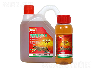 10%�����@�-����-�V�|���r(n��ng)