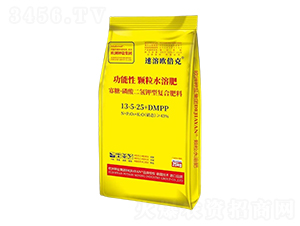 ���ǡ����������͏�(f��)�Ϸ���13-5-25+DMPP-���ܚW����-����}��(gu��)�H