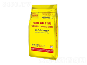 ���ǡ����������͏�(f��)�Ϸ���28-5-7+DMPP-���ܚW����-����}��(gu��)�H