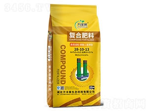 �����������������͏�(f��)�Ϸ���28-10-13-�f�S�R-�Dؐ