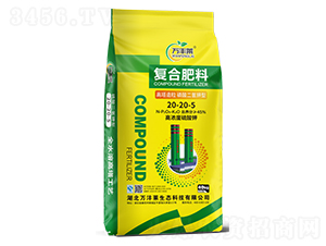 �����������������͏�(f��)�Ϸ���20-20-5-�f�S�R-�Dؐ