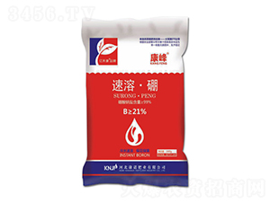 ���ܡ���-����-���Z�ʘI(y��)