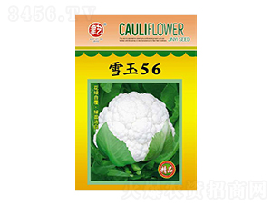 ���˷N��-ѩ��56-���S�r(n��ng)�I(y��)