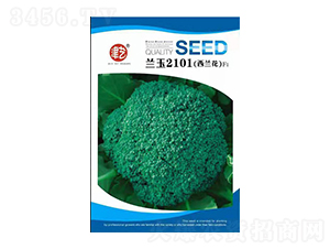 ���m���N��-�{��2101-���S�r(n��ng)�I(y��)