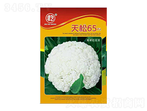 ���˷N��-����65-���S�r(n��ng)�I(y��)