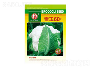 ���˷N��-ѩ��60-���S�r(n��ng)�I(y��)