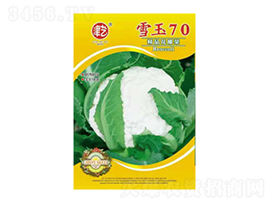 ���˷N��-ѩ��70-���S�r(n��ng)�I(y��)