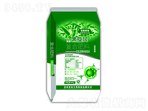 ��(f��)�Ϸ���-��������L(f��ng)-Ӣ��ؐ��-�е����r(n��ng)